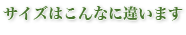 サイズはこんなに違います